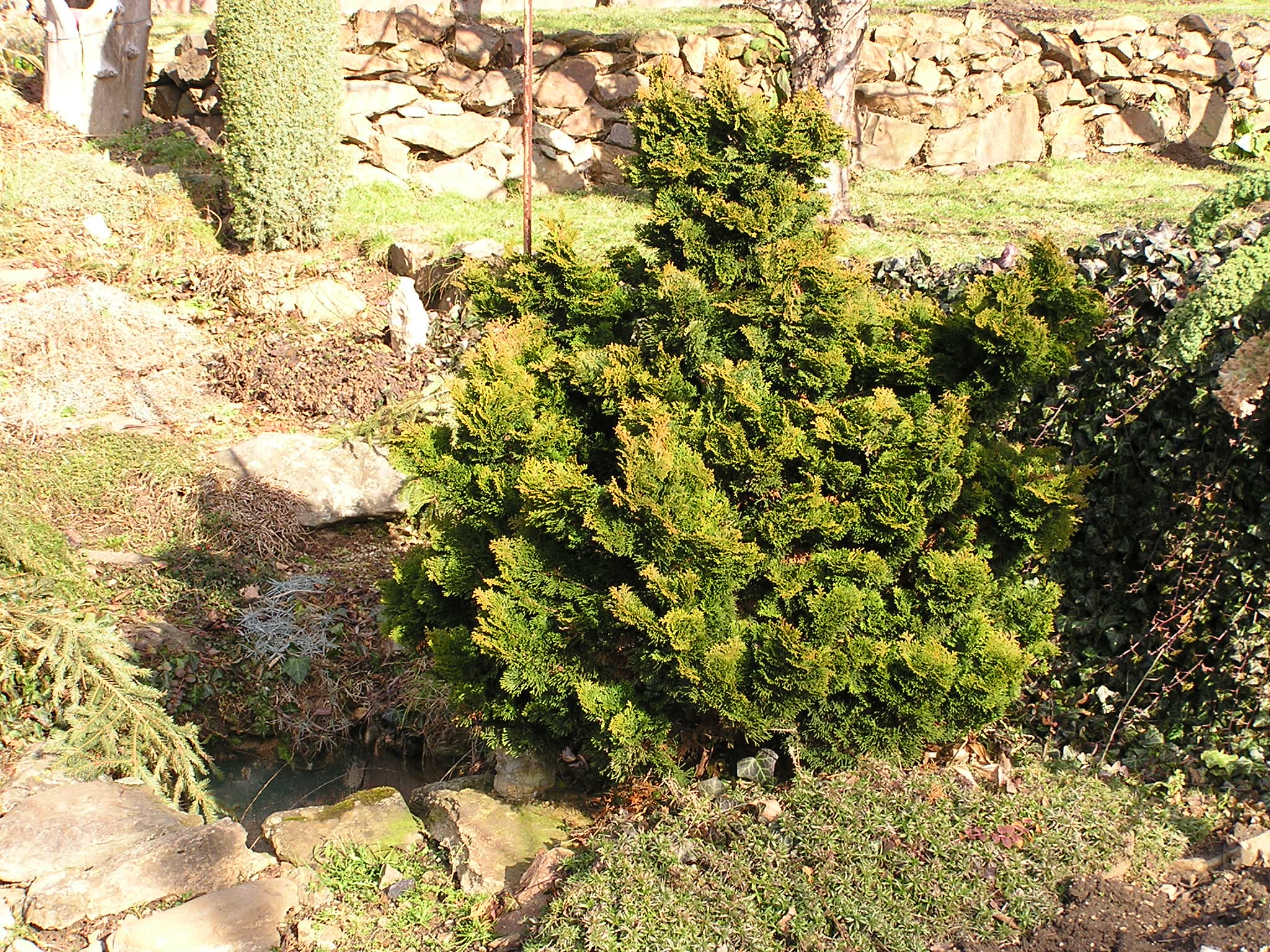 P2040052.JPG