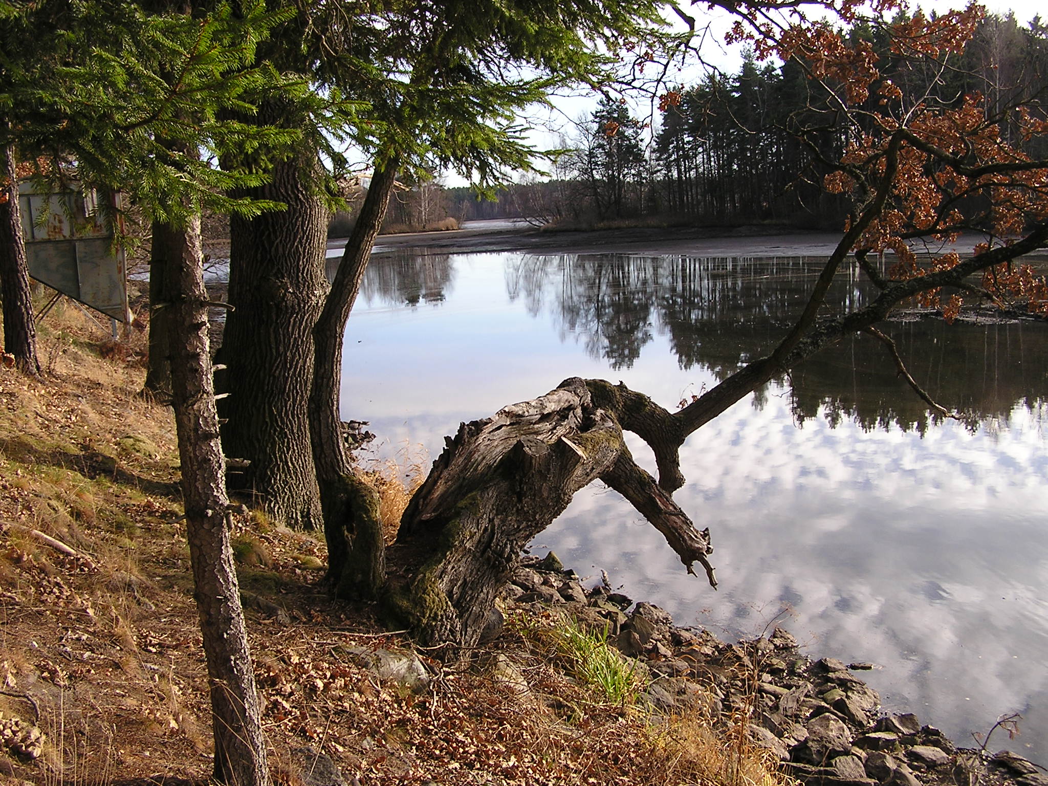 P1100025.JPG