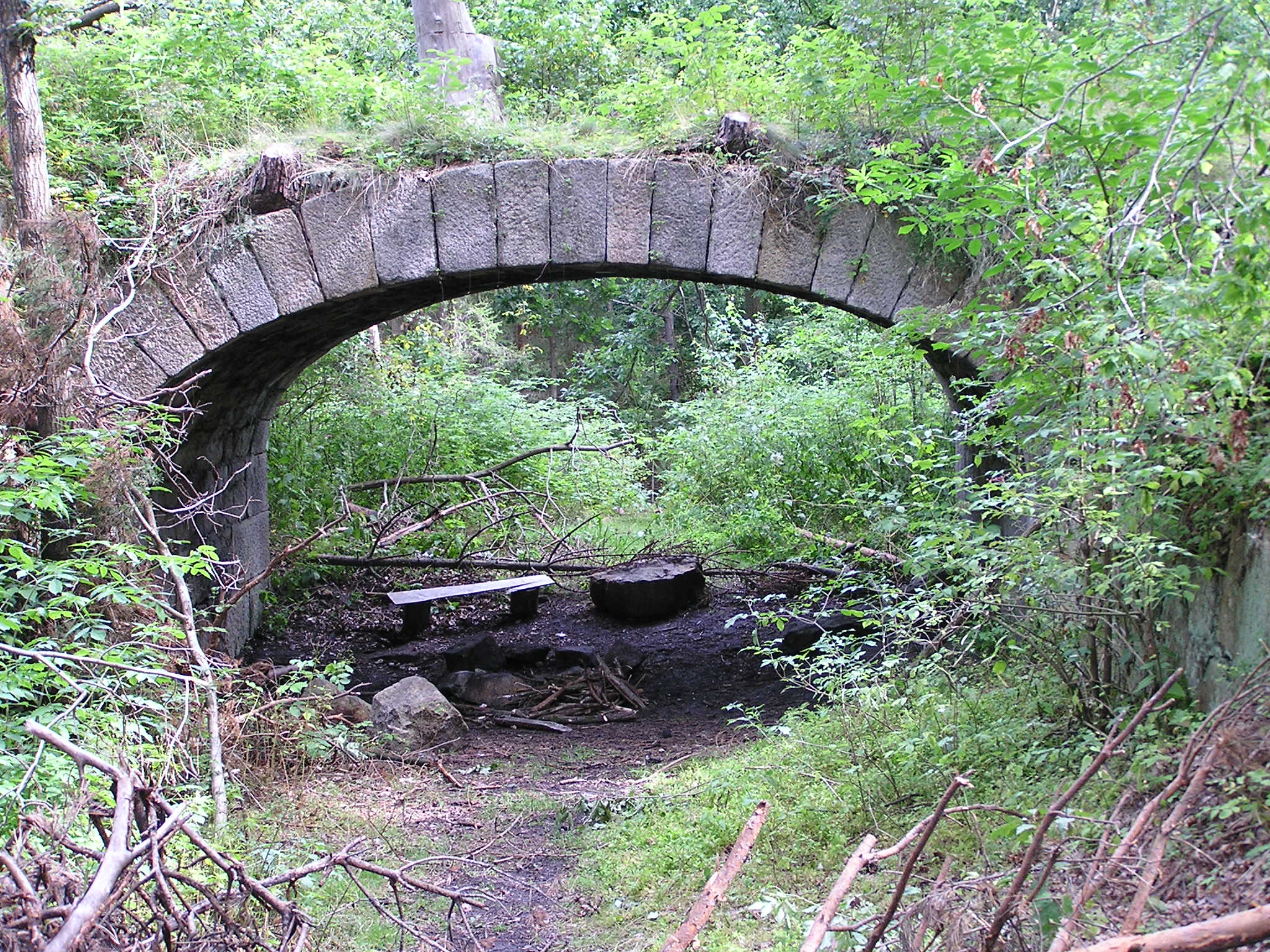 P8140068.JPG