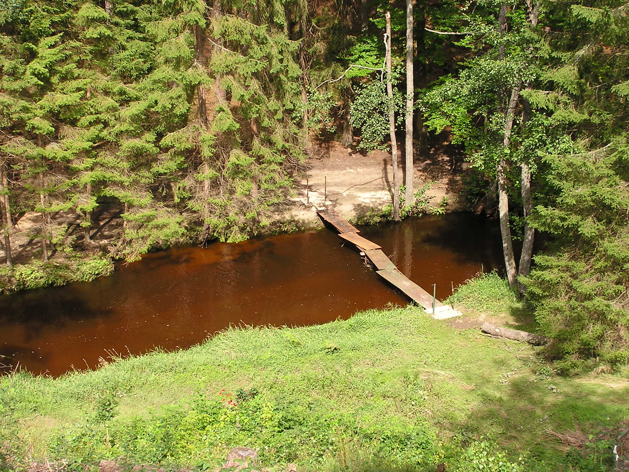 P8140069.JPG
