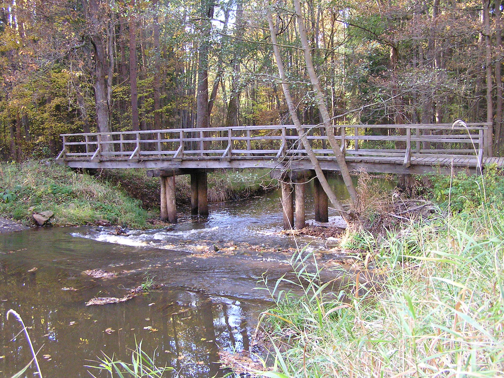 PA240162.JPG